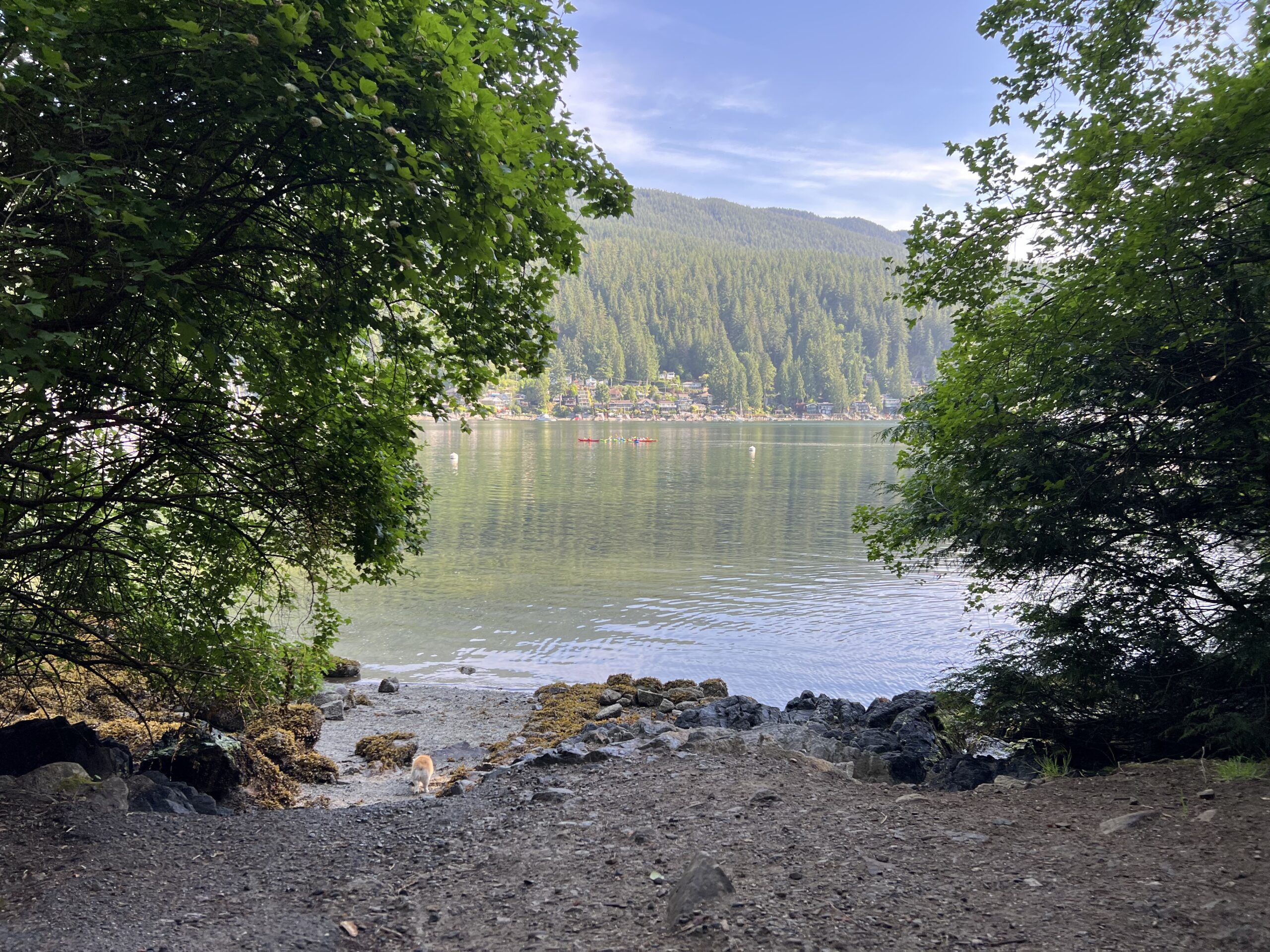 Indian Arm view