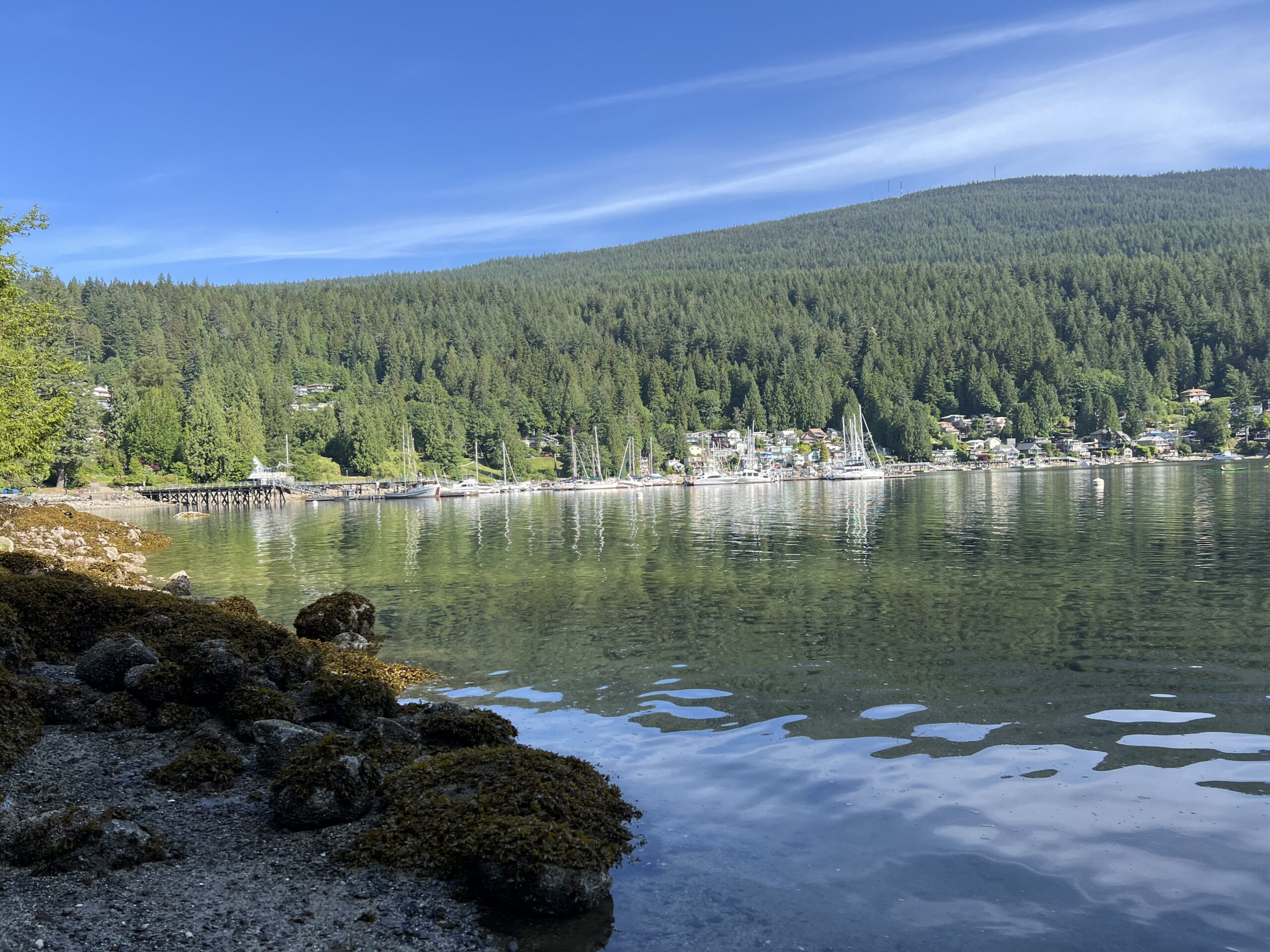 Deep Cove scenery