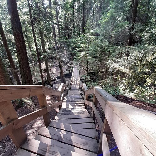 Steep wooden stairs looking down through green forest on Quarry Rock trail