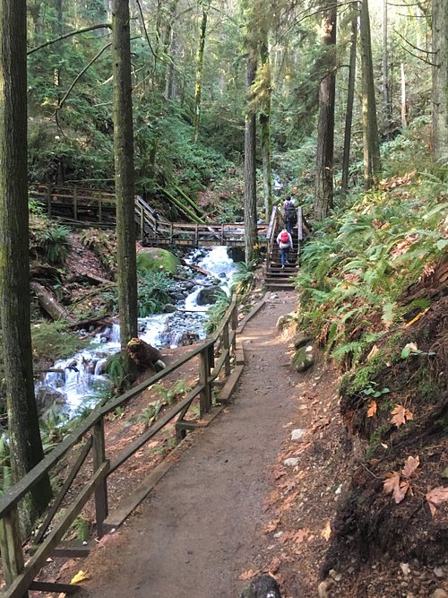 Quarry Rock trail path through forest alongside a stream